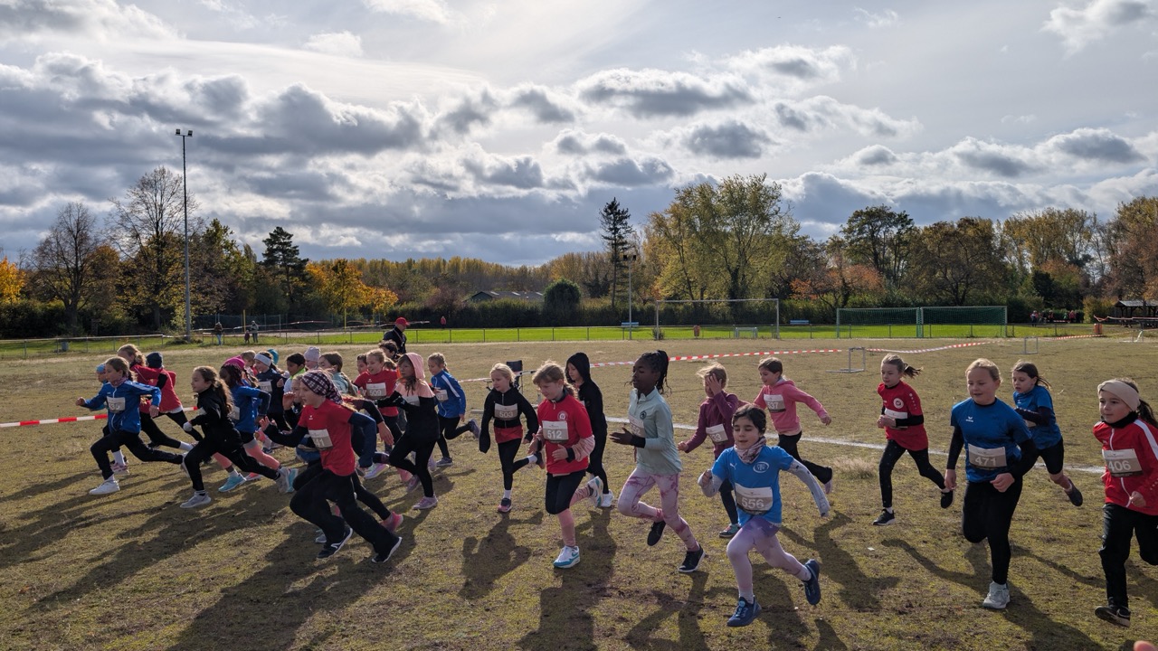 /img/gallery/2025/crosslauf/Groß (PXL_20251026_102932389.RAW-01.COVER).jpeg